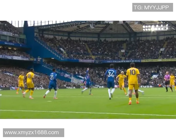 切尔西对阵布赖顿精彩直播全程回顾与赛后分析 切尔西对阵布赖顿精彩直播全程回顾与赛后分析