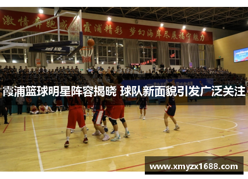 霞浦篮球明星阵容揭晓 球队新面貌引发广泛关注
