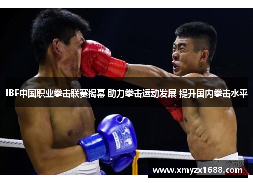 IBF中国职业拳击联赛揭幕 助力拳击运动发展 提升国内拳击水平