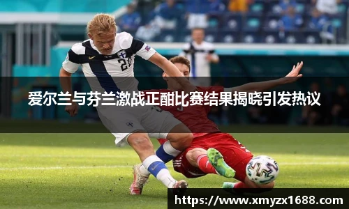 爱尔兰与芬兰激战正酣比赛结果揭晓引发热议